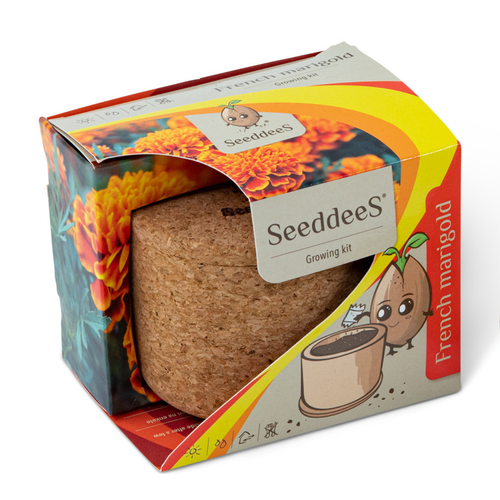 SeeddeeS Cork Pot - French Marigold Growing Kit
