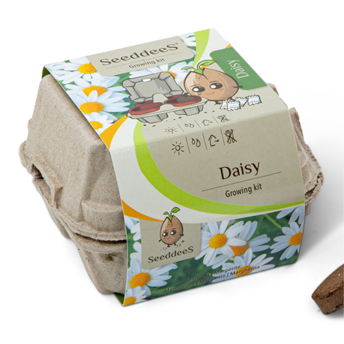 SeeddeeS Egg Carton - Daisy Growing Kit