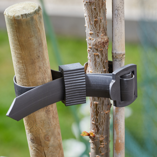 Buckle Tree Ties 2-PK