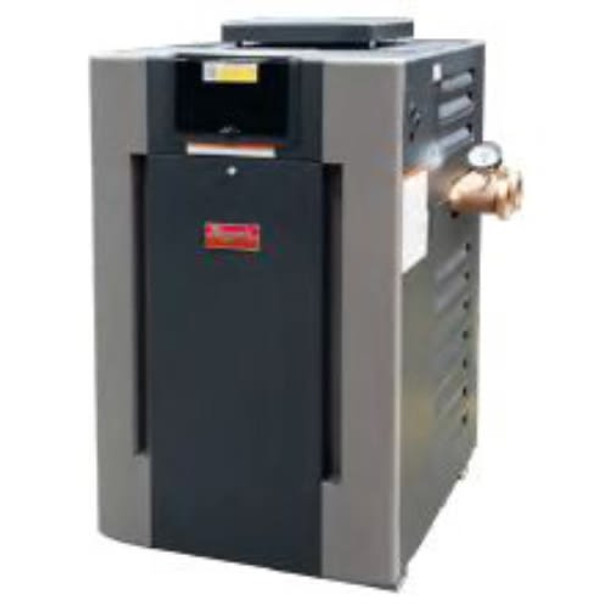 Raypak Digital Natural Gas Heater 406,000  BTU - Bronze Headers ASME