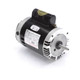 Round Face Regal Motor 115/230V