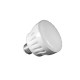 J&J Elec Purewhite Pro Cool White Led Spa Light Bulb, LPL-M2-CW-120