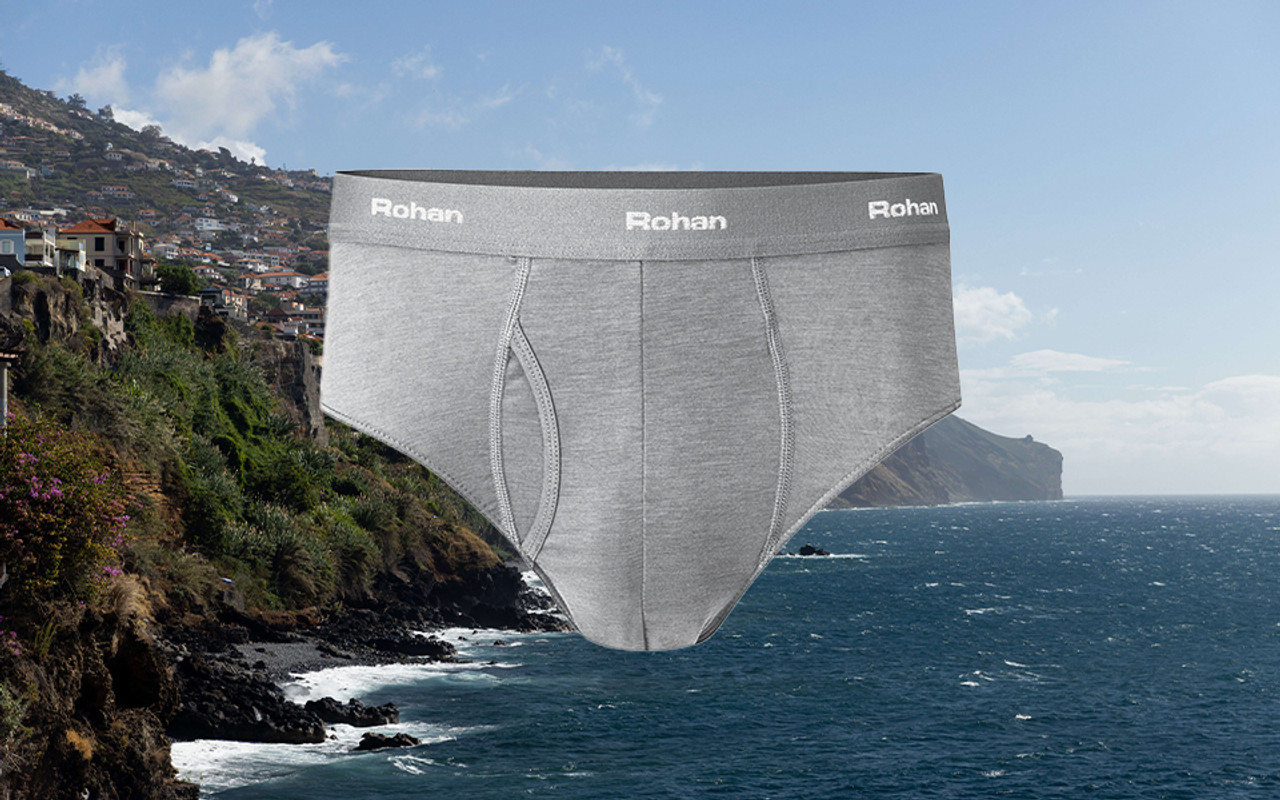 Briefs