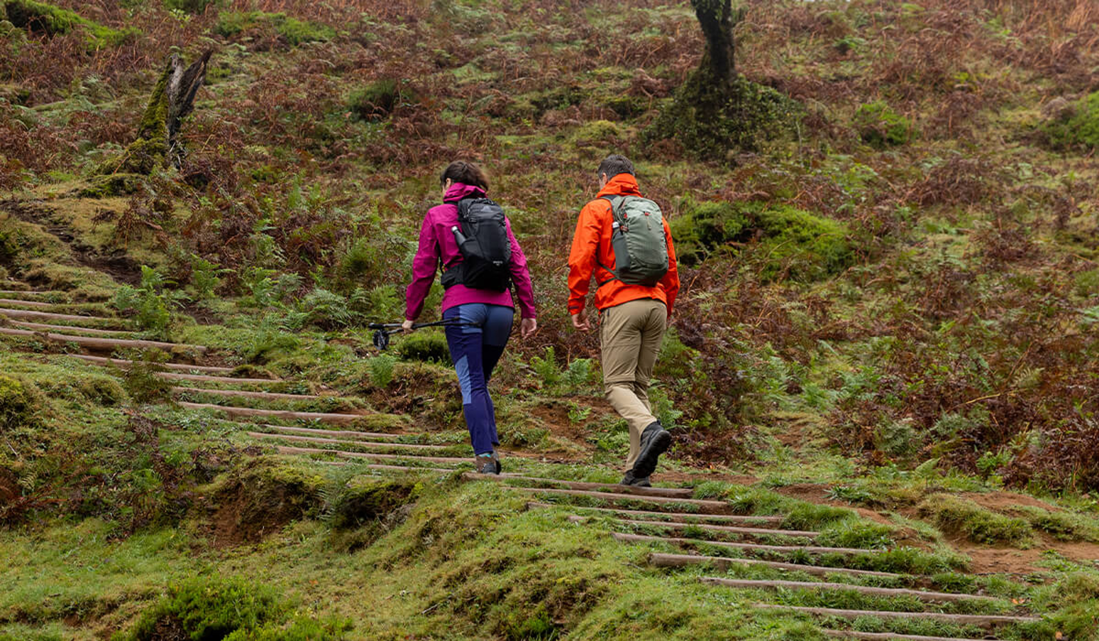 Hiking Guide for Beginners