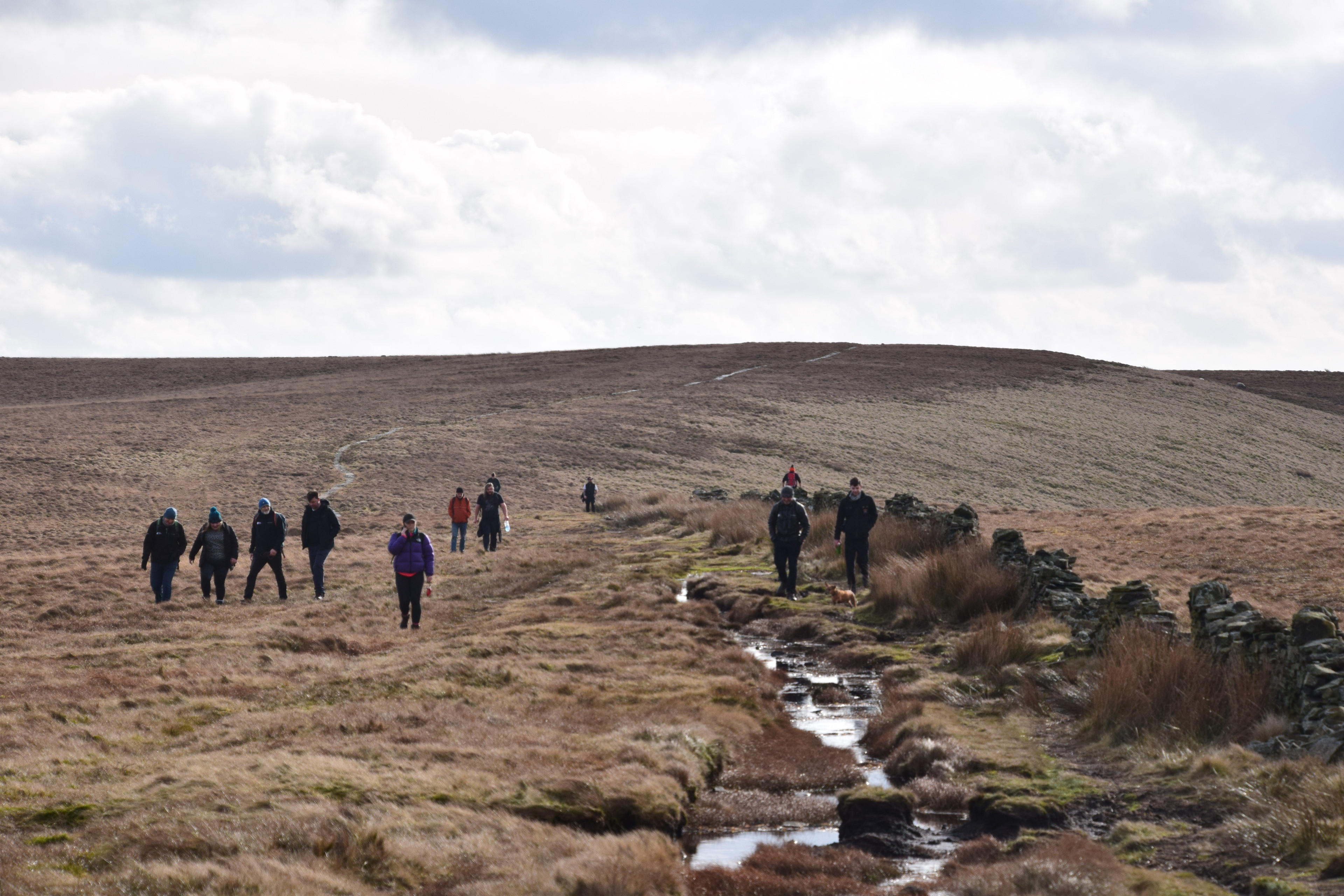Walking for Wellbeing
