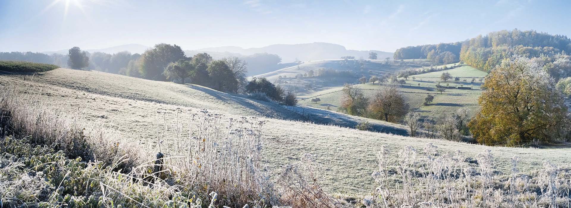 Seasonal Delights: Winter Walking