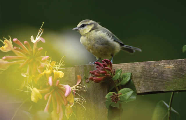 Connect with Nature on Your Doorstep