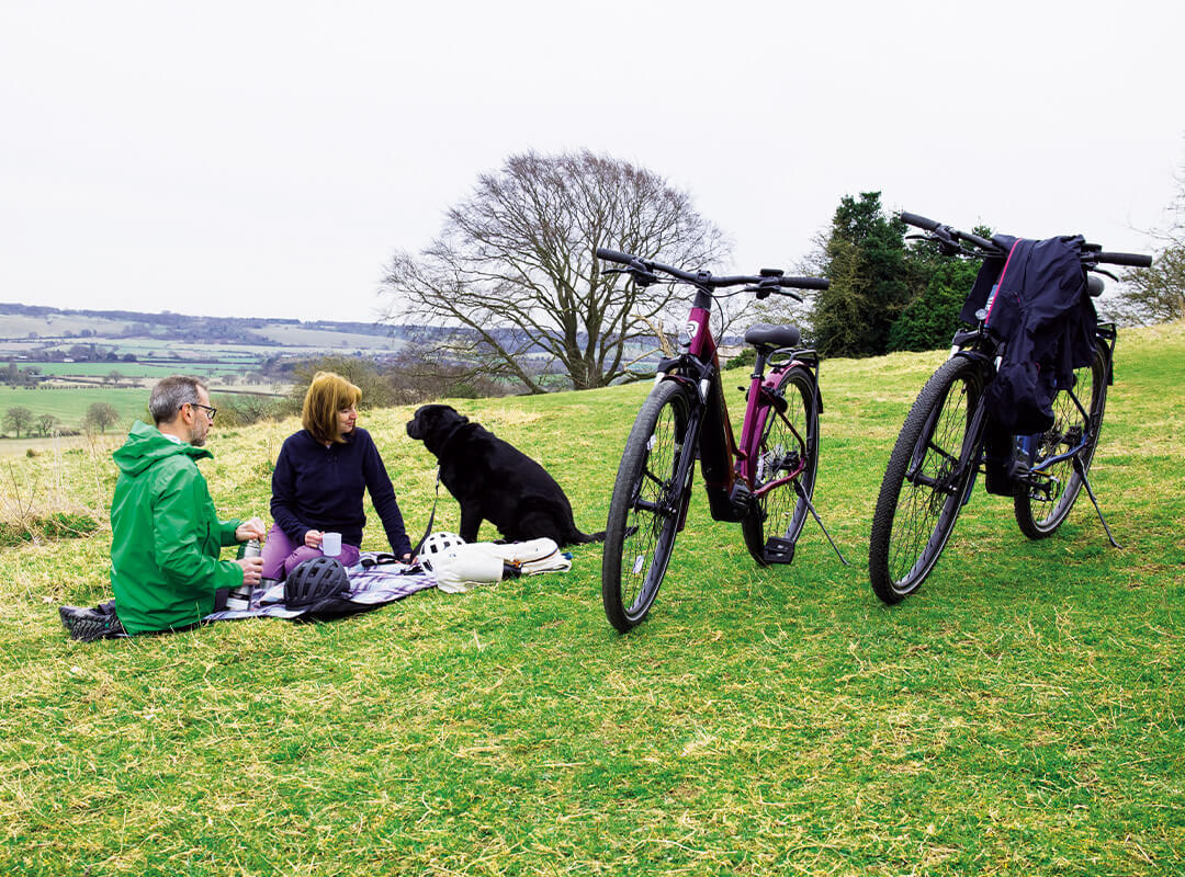 Two people sat on a picnic blanket, with a dog, beside their e-bikes