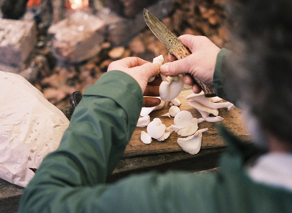 Iain Hickinbottom cutting gourmet mushrooms in woodland