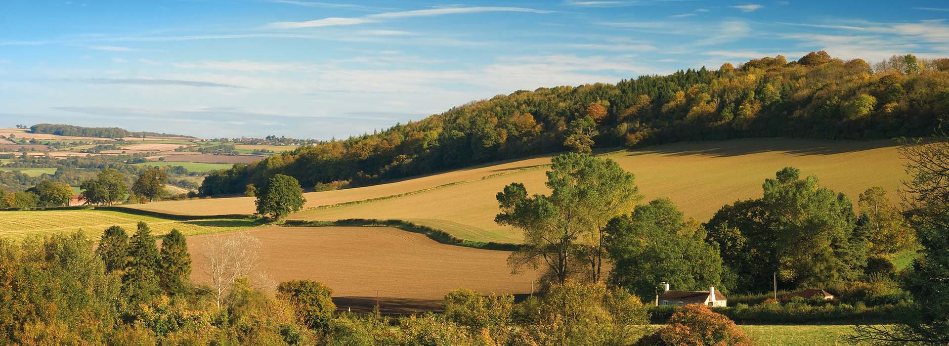 Landscape of Shropshire Hills, Trees and Sky