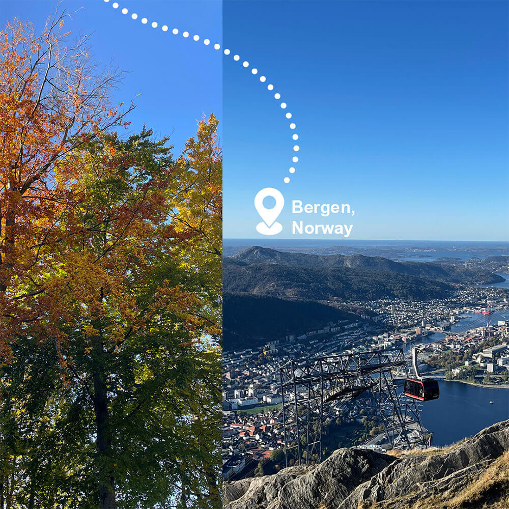 Image collage of Bergen in Norway