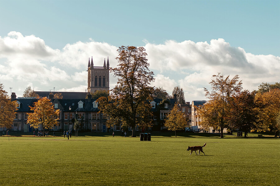 Field in front of Cambridge Cathedral Building, England