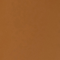 Thule Chasm Backpack 26 Litre Golden