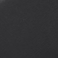 Men's Journey Belt Black