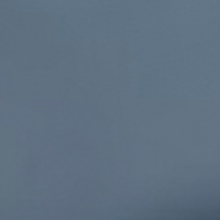 Thule Chasm Carry On 55cm 40L Pond