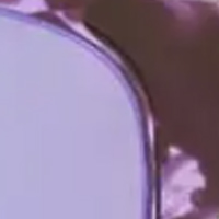 Madison Signal Sunglasses Crystal Tortoiseshell/Purple Mirror Lens