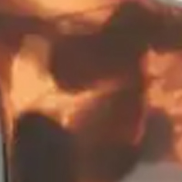 Madison Signal Sunglasses Dark Tortoiseshell/Black Mirror Lens