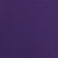 Women's Global Long Sleeve T Aurora Purple