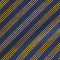 Women's Shoreline Long Sleeve Polo Blue/Gold Stripe