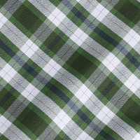 Men's Coast Long Sleeve Shirt Green/Ecru Check