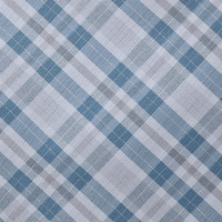 Men's Coast Long Sleeve Shirt Haze Grey/Blue Check