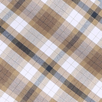 Men's Coast Long Sleeve Shirt Stone/Brown Check