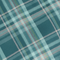 Men's Pennine Long Sleeve Shirt Pacific Green Check