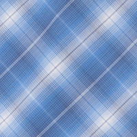 Women's Coast Long Sleeve Shirt Sorrento Blue Check