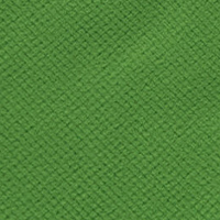 Men's Microgrid Fleece Jacket Java Green