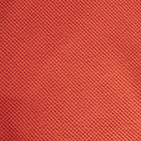 Men's Microgrid Fleece Crew Neck Coast Red