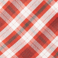 Men's Portreath Long Sleeve Shirt Coast Red/Dark Olive Check