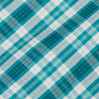 Men's Portreath Long Sleeve Shirt Marine Teal Check