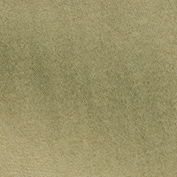 Men's Frontier Short Sleeve Shirt Umber Green