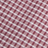 Men's Isle Long Sleeve Shirt Grape Purple Gingham