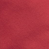 Women's Voyager Shorts Carissa Red