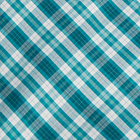 Men's Portreath Short Sleeve Shirt Marine Teal Check