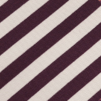 Women's Strand Long Sleeve Polo Top Purple Stripe