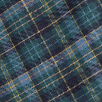 Men's Woolston Long Sleeve Shirt Navy/Green Check