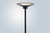 Lite Source - Sappho Floor Lamp