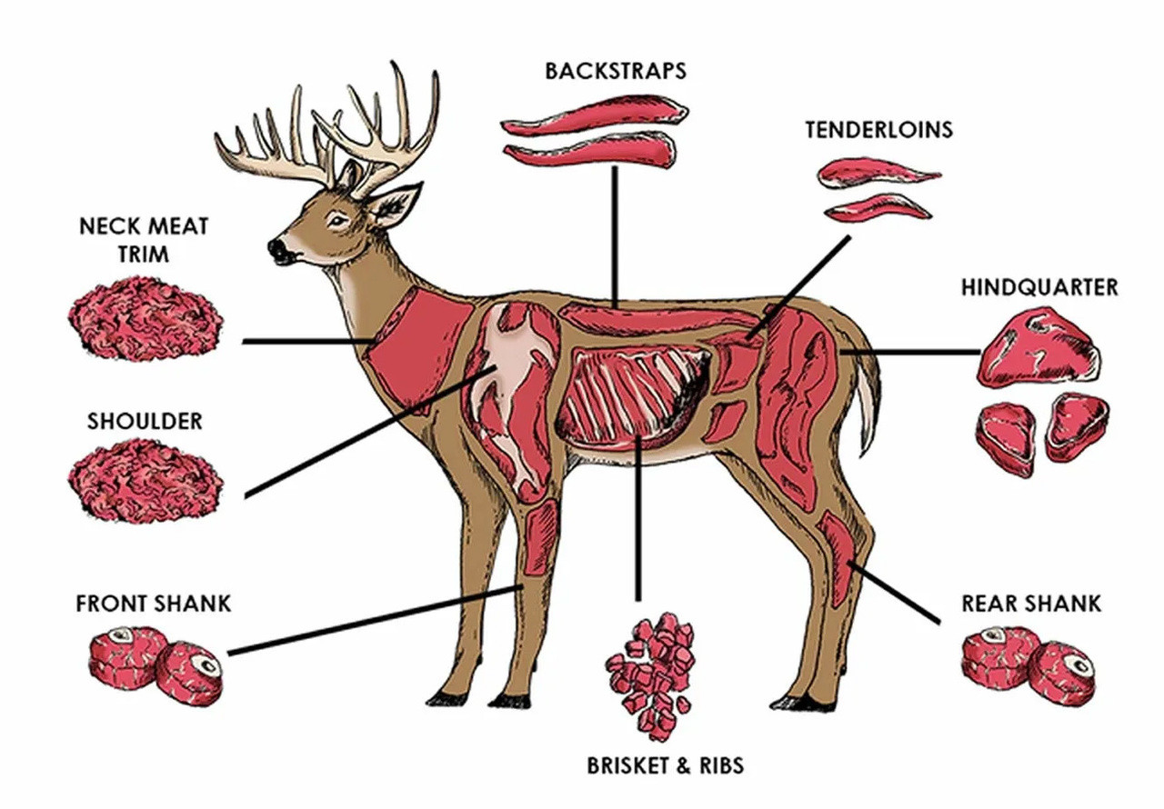 Venison Prey Model Blend Raw Dog Food For Sale