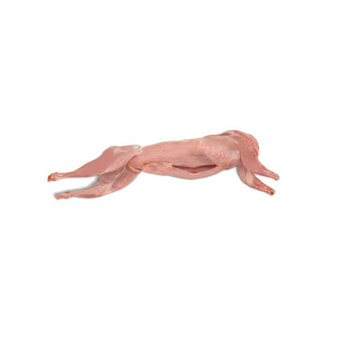 Whole Rabbit - 2 Lbs