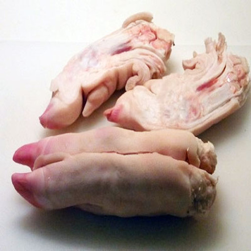 feeding raw pig feet to dogs
