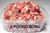 quail dog food raw prey model diet