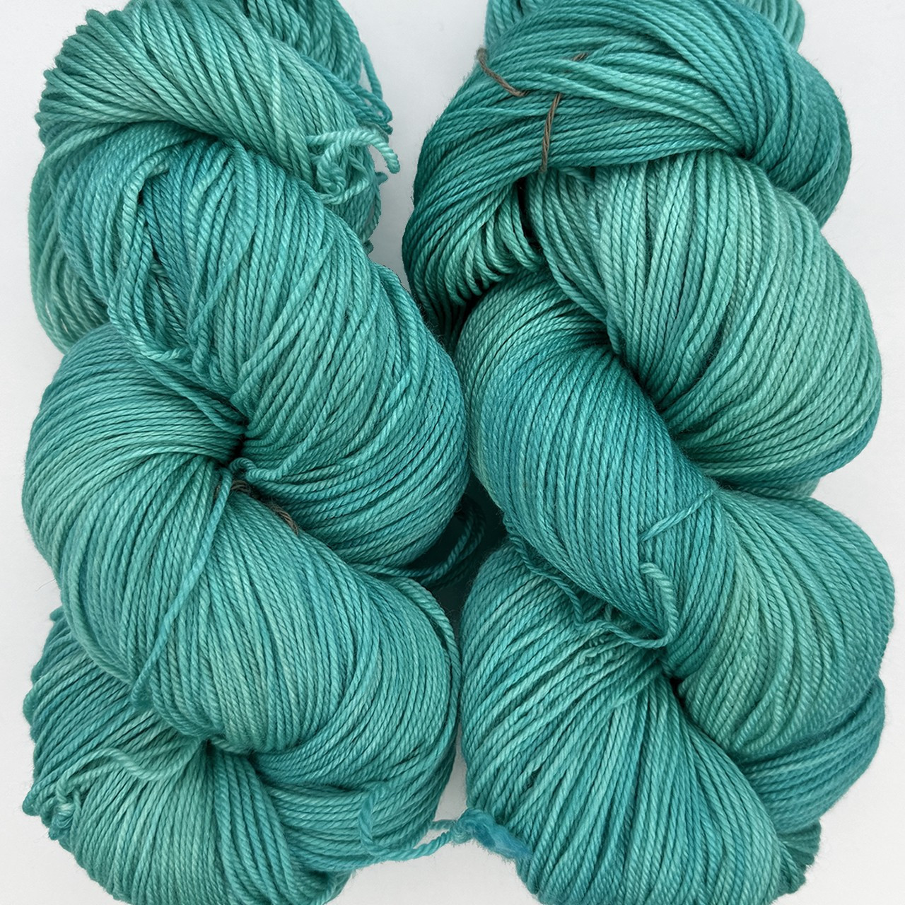 MT Pashmina Glass Bottom Boat -