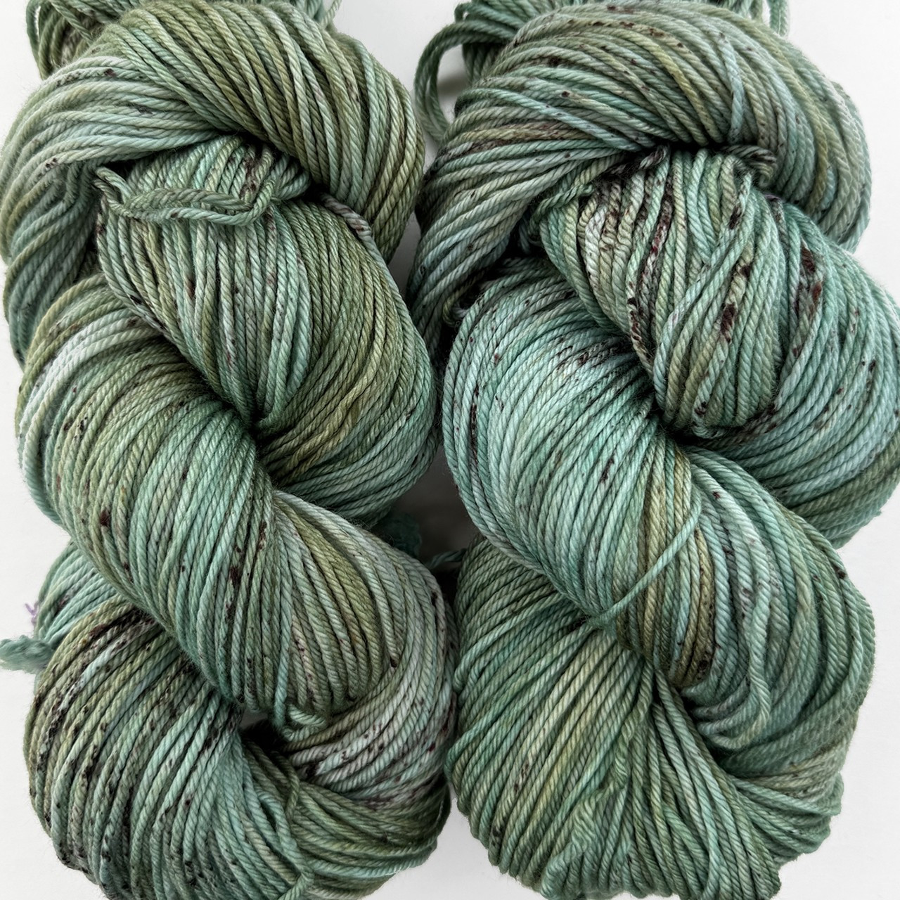 MT Tosh DK Lost in Trees -