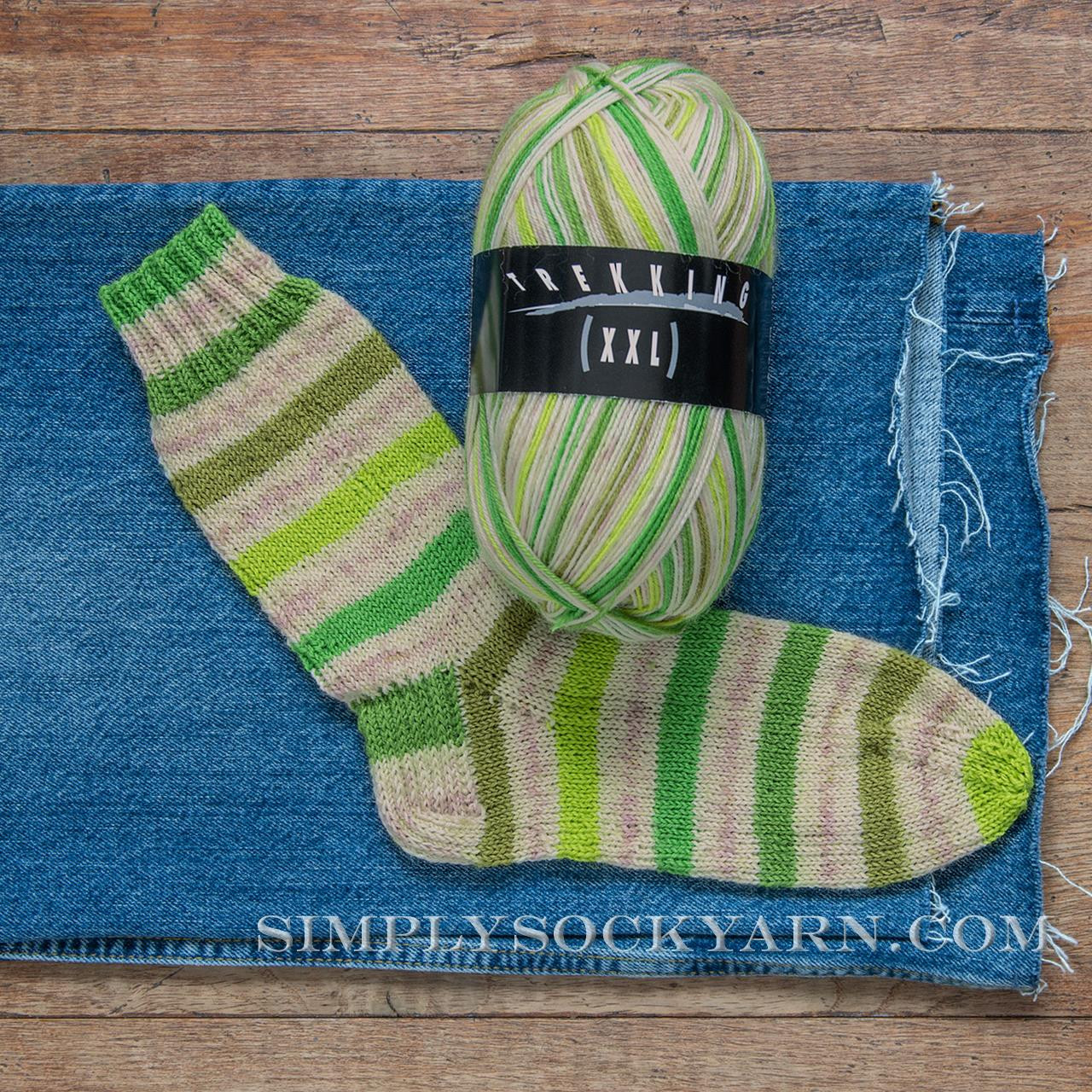 Trekking XXL 728 Simply Socks Yarn Company