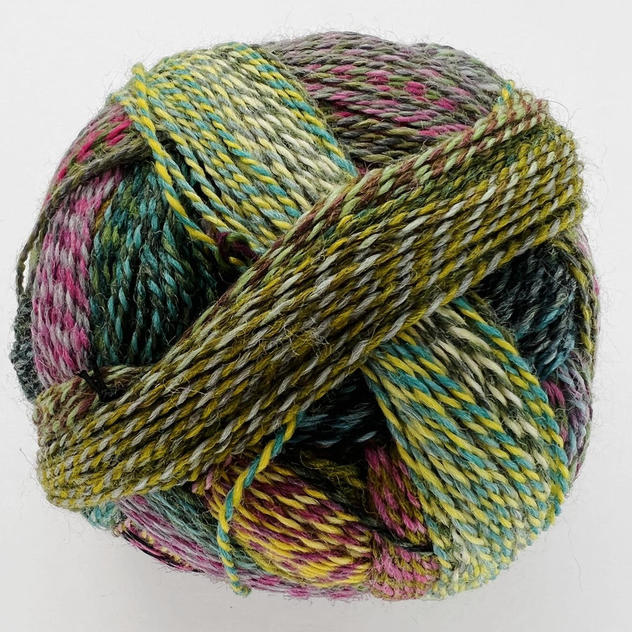 新品✨BALLSEY プレミアムウール la chienne♡プロフ必読☆ Zauberball Crazy 2528 - Simply Socks Yarn Company