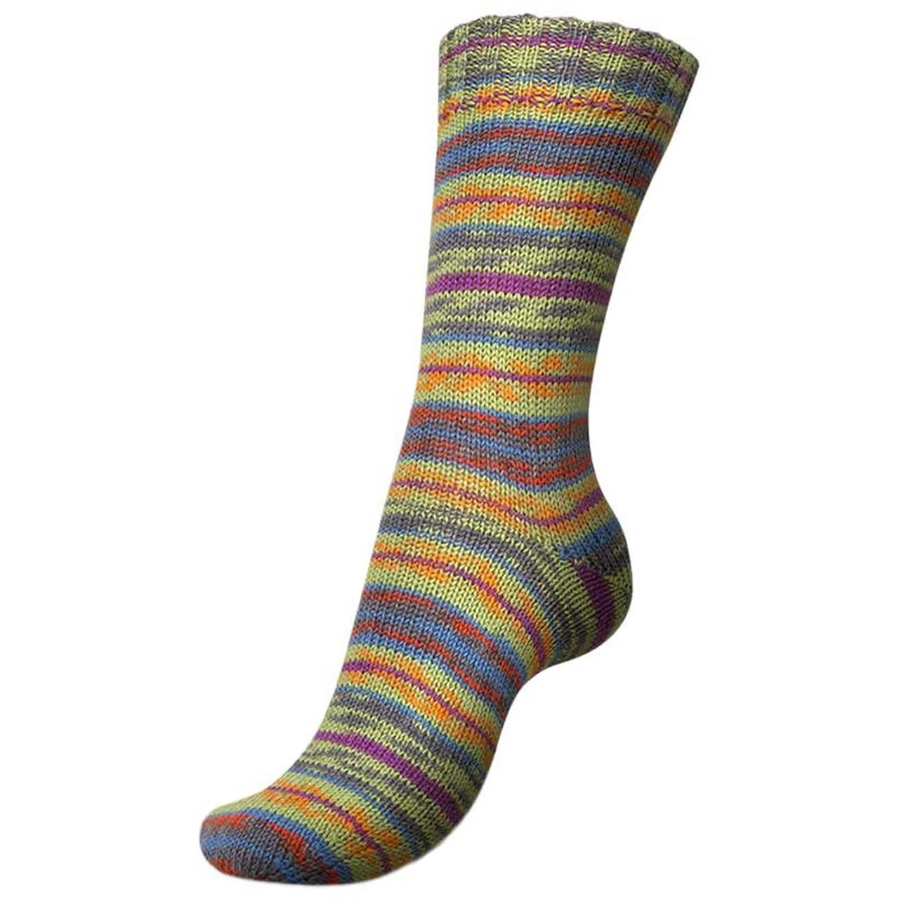 Regia Arne Carlos Setesdal 3830 - Simply Socks Yarn Company