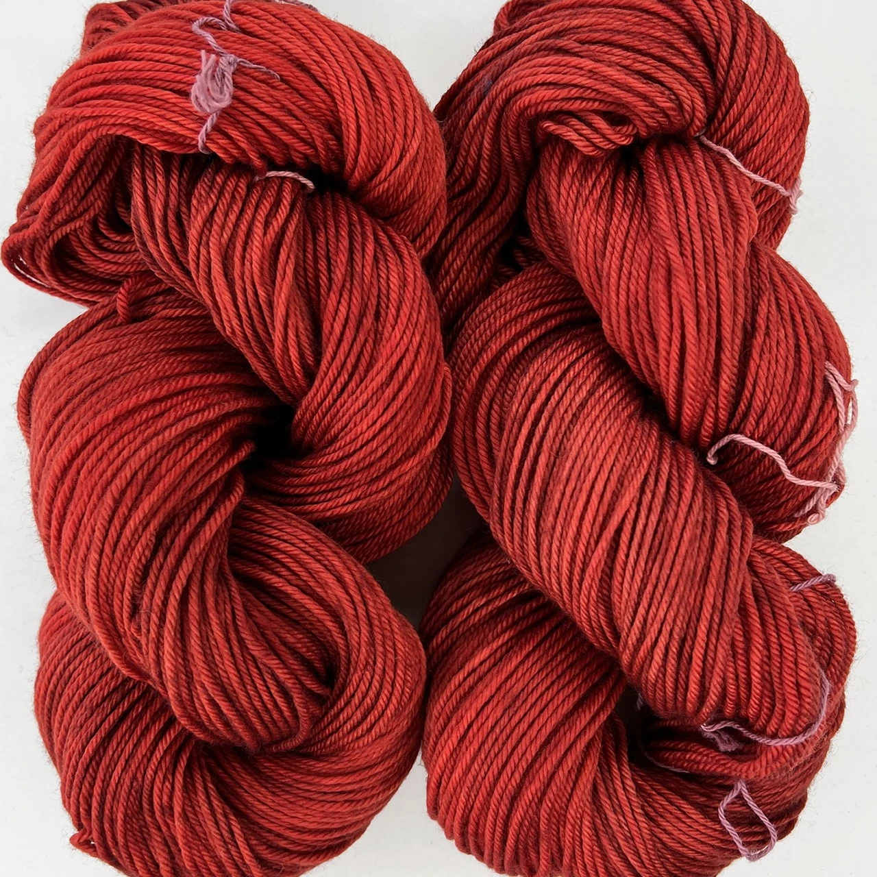 MT Tosh DK Whats Your Poinsetti -