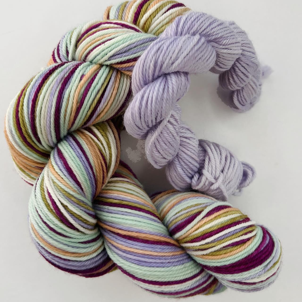 FW DK Sock Set Charming Simply Socks Yarn Company